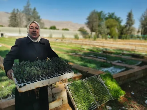 Case Study 1 - Agriculture Support Phase-Rural Damascus - Zabadani September 2019